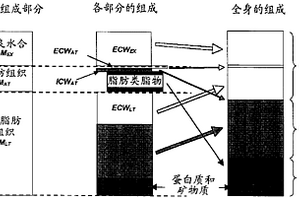 确定病人水合和/或营养状况的方法和装置