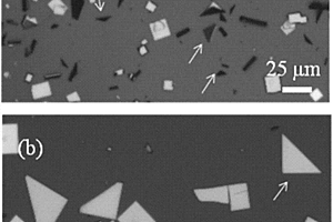 Bi<sub>2</sub>O<sub>x</sub>Se纳米片、其制备方法及用途