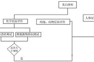 美白原料功效评价体系及评价方法