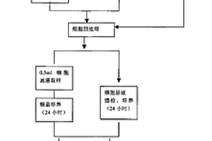 全封闭式无菌细胞培养方法