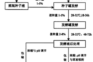 利用城市污泥制备的根瘤菌接种剂及其制备方法