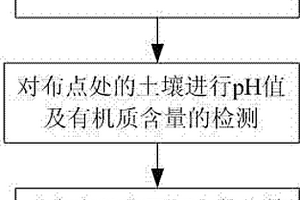 栗钙土土壤下的树木种植方法