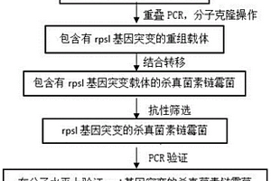 杀真菌素链霉菌恩拉霉素抗性好且产量高的基因和菌株