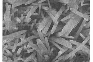 ZnO纳米线生物传感器及其制备方法