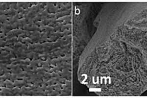 纳米多孔Ag<sub>2</sub>Al材料、制备方法及应用