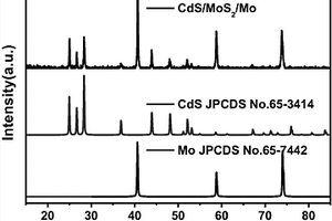 CdS/MoS2/Mo双层核壳结构光电极