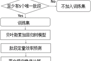 蛋白质无标绝对定量方法