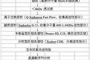 玉米抗氧化活性肽及其制备方法