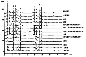 白芷药材水提液指纹图谱及其建立方法和应用
