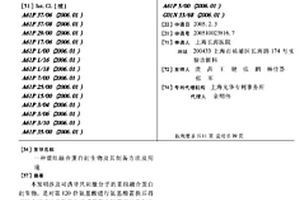 重组融合蛋白衍生物及其制备方法及用途