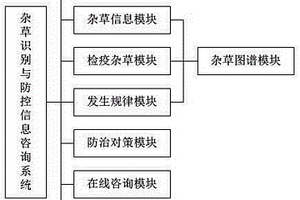 杂草识别与防控信息咨询系统及杂草信息查询方法