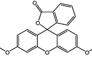 亲脂性荧光素探针及其制备方法