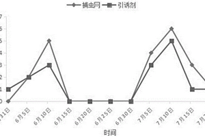 甜瓜迷实蝇的防治方法