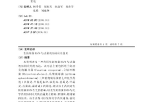 生防细菌B579与杀菌剂协同应用技术