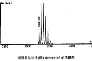 无指盘臭蛙抗菌肽及其制备方法和用途
