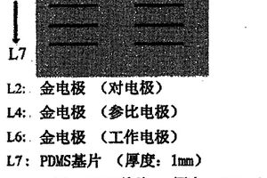 多通道芯片电泳集成纳米微带电极阵列及其制法和用途