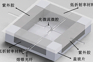 可保留径向高阶模式的封装型光微流微腔生化传感器