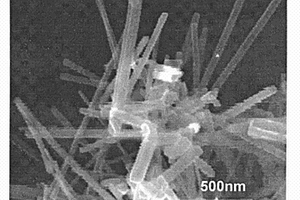 制备硫化铋纳米棒晶体材料的方法