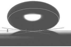 仿生微纳复合结构超疏水表面的制备方法