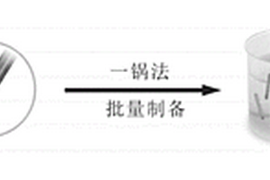 功能化核壳纳米线及其制备方法与应用