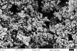 碳修饰的三维树状Ni<Sub>3</Sub>S<Sub>2</Sub>电极材料用于超级电容器