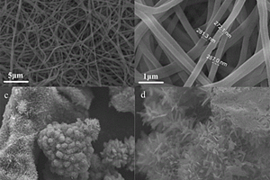 VO<Sub>2</Sub>纳米花材料及其制备方法和应用