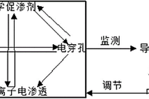 提取组织液的方法