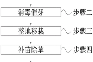 水稻生态种植方法