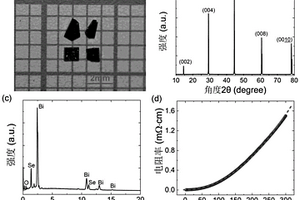理想二维费米液体系统Bi<sub>2</sub>O<sub>2</sub>Se单晶及其制备方法和应用