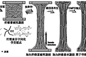 全纤维素纳米流体离子导体膜材料制备方法