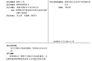 用于生物芯片的活性载体、其制备方法及其应用