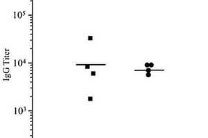 氟代TF-MUC1糖肽缀合物及其制备方法和应用