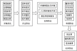 血橙种植的防虫害方法