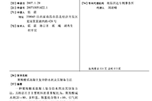 聚羧酸系混凝土复合防水剂及其制备方法