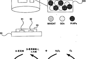 非介入式葡萄糖传感器