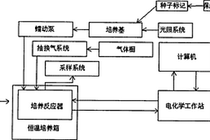 用于保绿型玉米选育的辅助选择系统