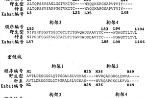 转化为半胱氨酸的鸡抗体和使用其的位点特异性缀合