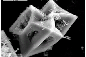 过共晶铝硅合金中初生硅颗粒的提取方法