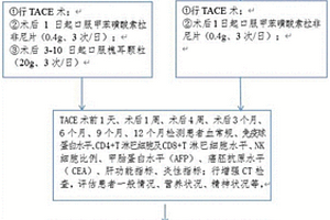 槐耳颗粒在制备进行肝细胞癌TACE预后的试剂中的应用
