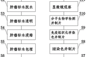 病理图片三维重建的方法