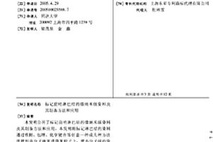 标记前哨淋巴结的微纳米级染料及其制备方法和应用