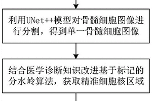 骨髓细胞形态学特征的提取方法与系统