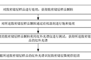 识别致密储层微观官能团的方法