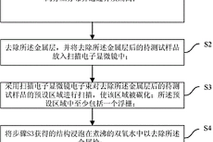 SEM样品的制备方法