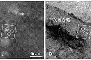 确定油气运移的期次、时间、动力与方向的方法