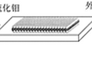 Te/MoS<sub>2</sub>范德华异质结构及其制备方法和应用