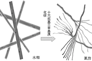 有机相硫化镉/碲化镉纳米晶超结构及其制备方法和应用