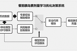 专家经验辅助的餐前胰岛素剂量学习优化决策系统