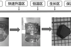 用于电离辐射能谱分辨的钙钛矿半导体晶体及其制备方法