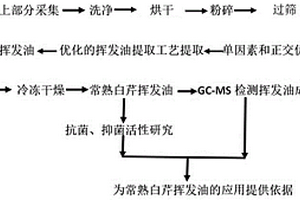 常熟白芹挥发油提取工艺及其应用
